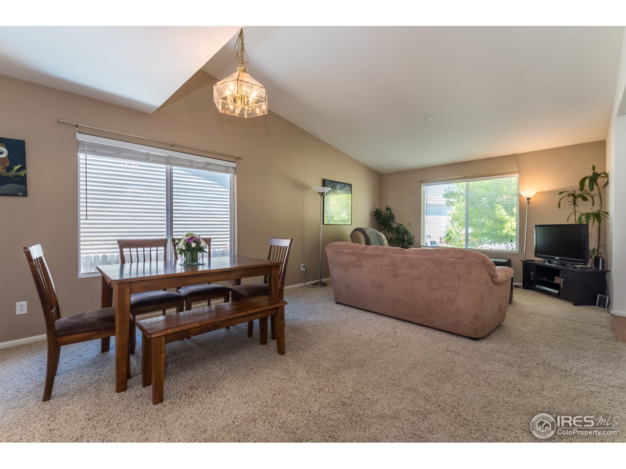 1229 Trail Ridge Road Longmont, CO 80504 - Photo 6 of 25