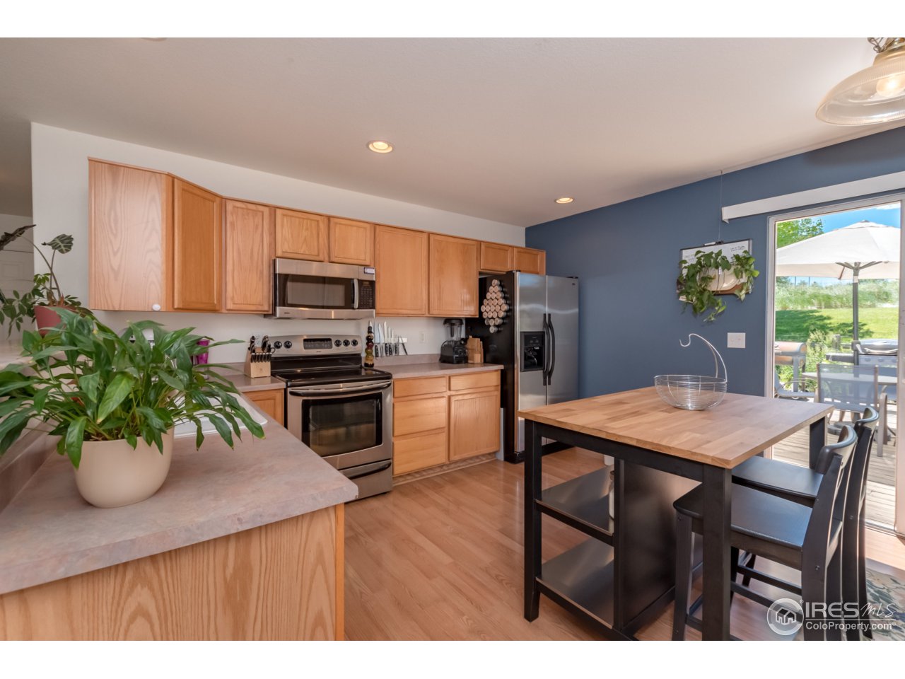 1229 Trail Ridge Road Longmont, CO 80504 - Photo 8 of 25