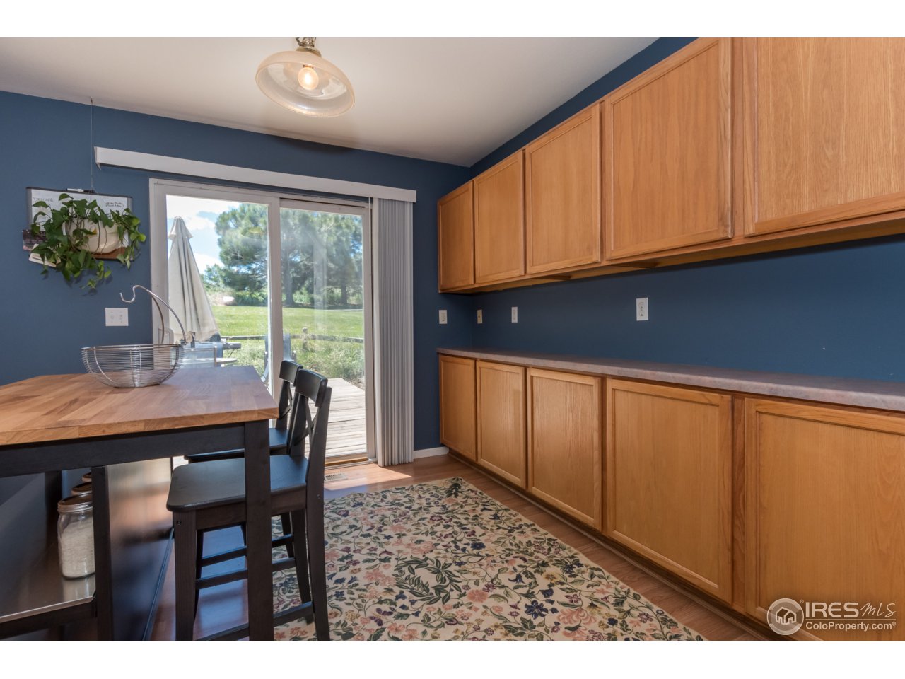 1229 Trail Ridge Road Longmont, CO 80504 - Photo 10 of 25