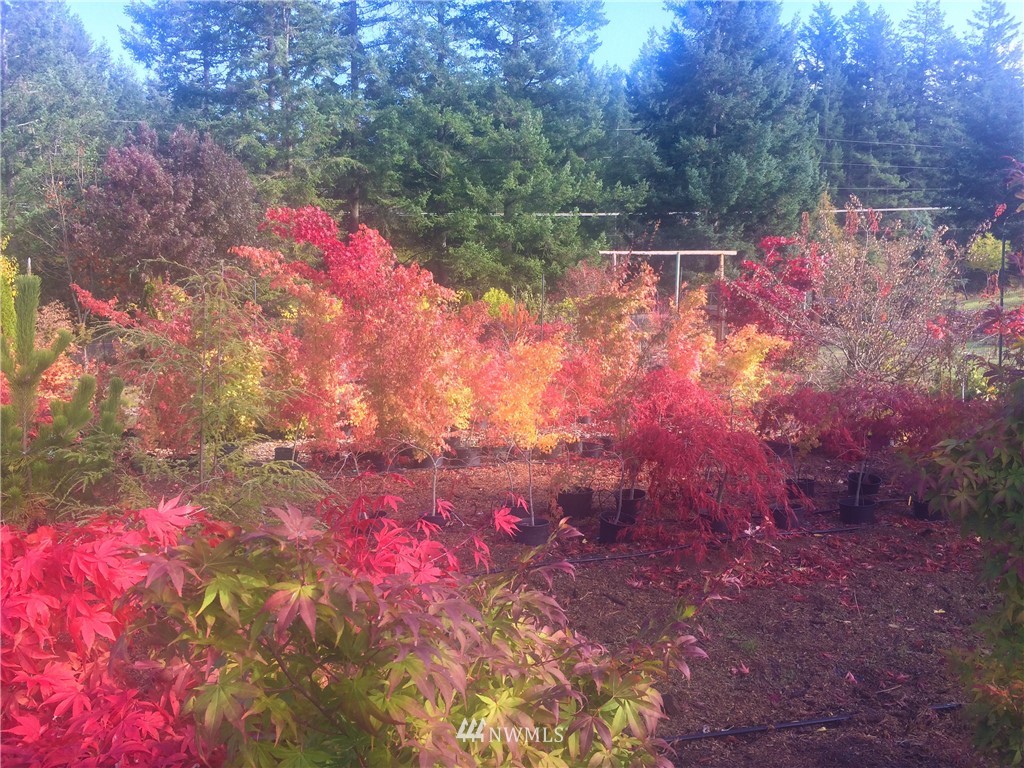 6429 Roche Harbor Road San Juan Island, WA 98250 - Photo 19 of 25 Gallery Image 19