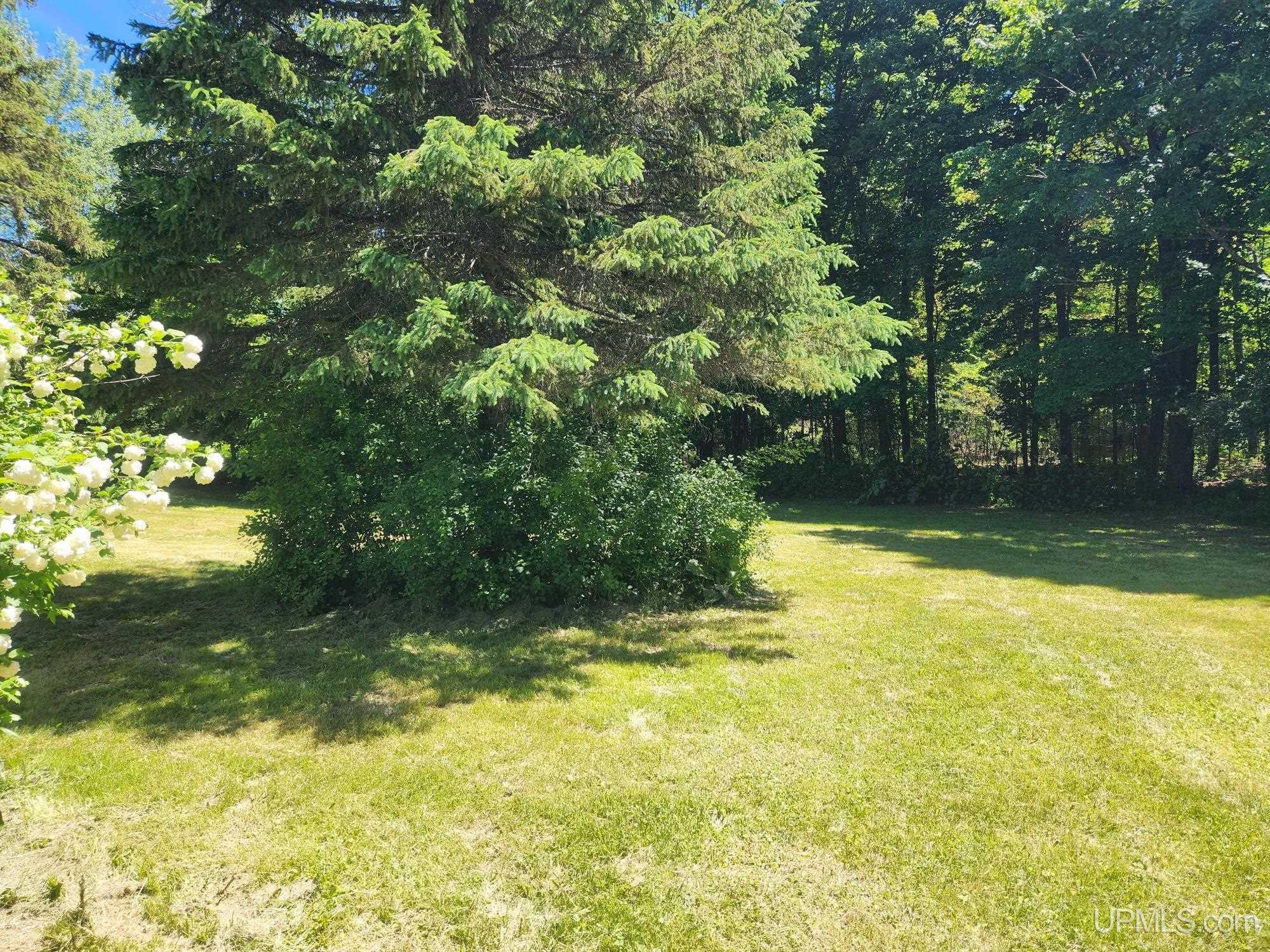132 Section 22 Road Iron River, MI 49935 - Photo 43 of 64