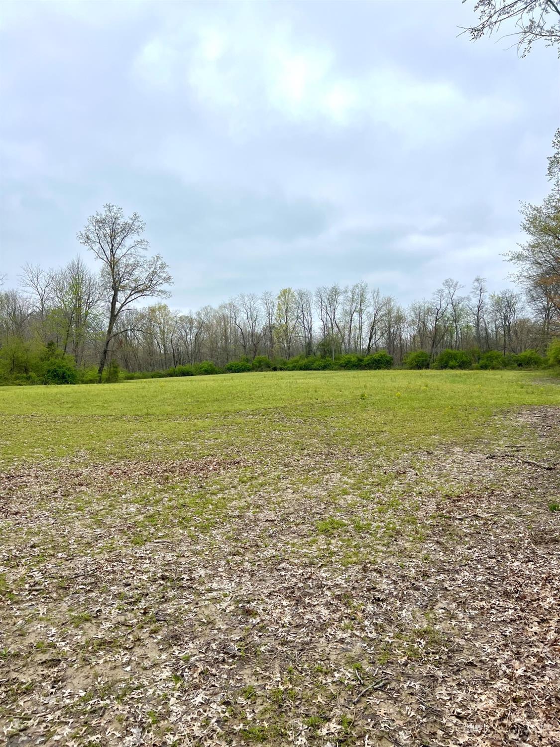 8294 Marks Road Georgetown, OH 45121 - Photo 45 of 96