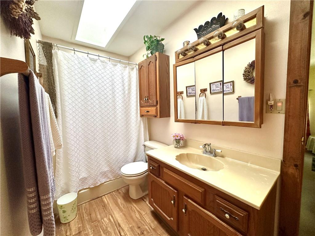 12 Mesmer Hill Road Callicoon, NY 12723 - Photo 15 of 18 Bathroom with hardwood / wood-style flooring, a skylight, toilet, and vanity