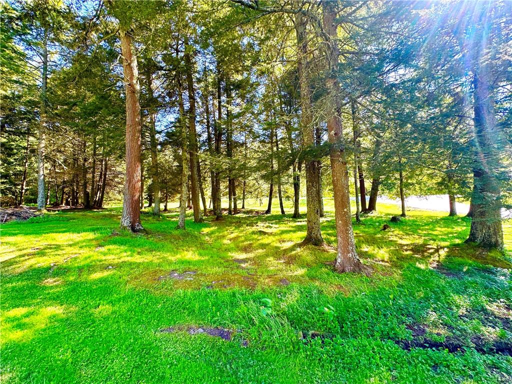 12 Mesmer Hill Road Callicoon, NY 12723 - Photo 17 of 18 View of yard