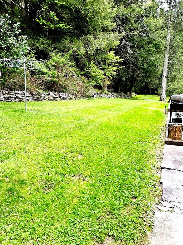12 Mesmer Hill Road Callicoon, NY 12723 - Photo 18 of 18 View of yard