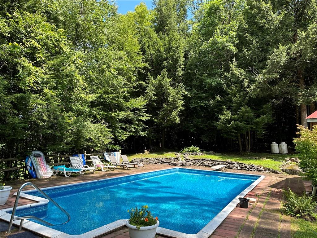 12 Mesmer Hill Road Callicoon, NY 12723 - Photo 3 of 18 View of swimming pool