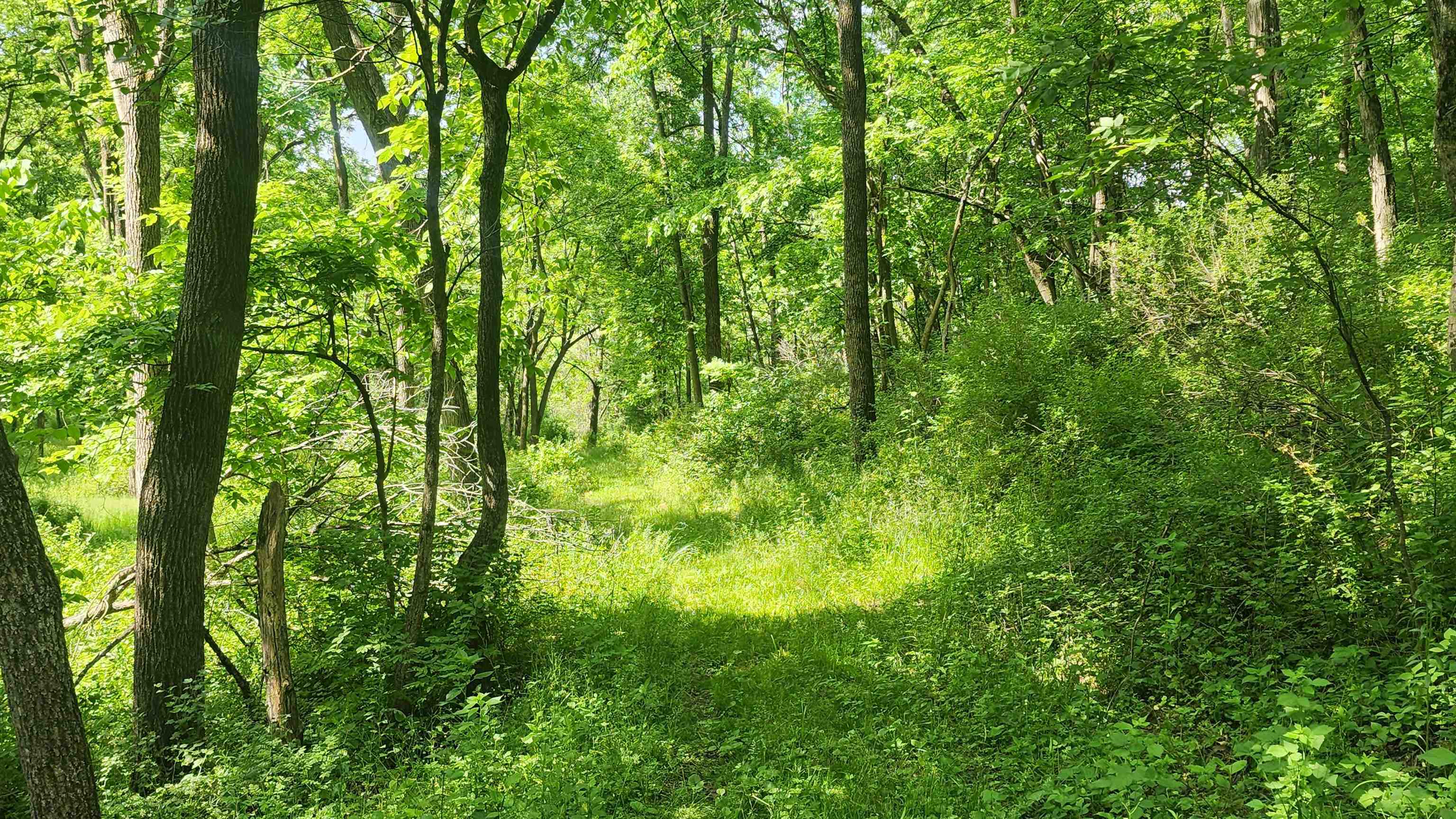 0 Shortcut Seneca, WI 54654 - Photo 18 of 22