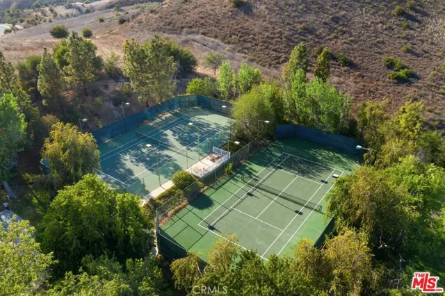a view of a yard with plants and trees