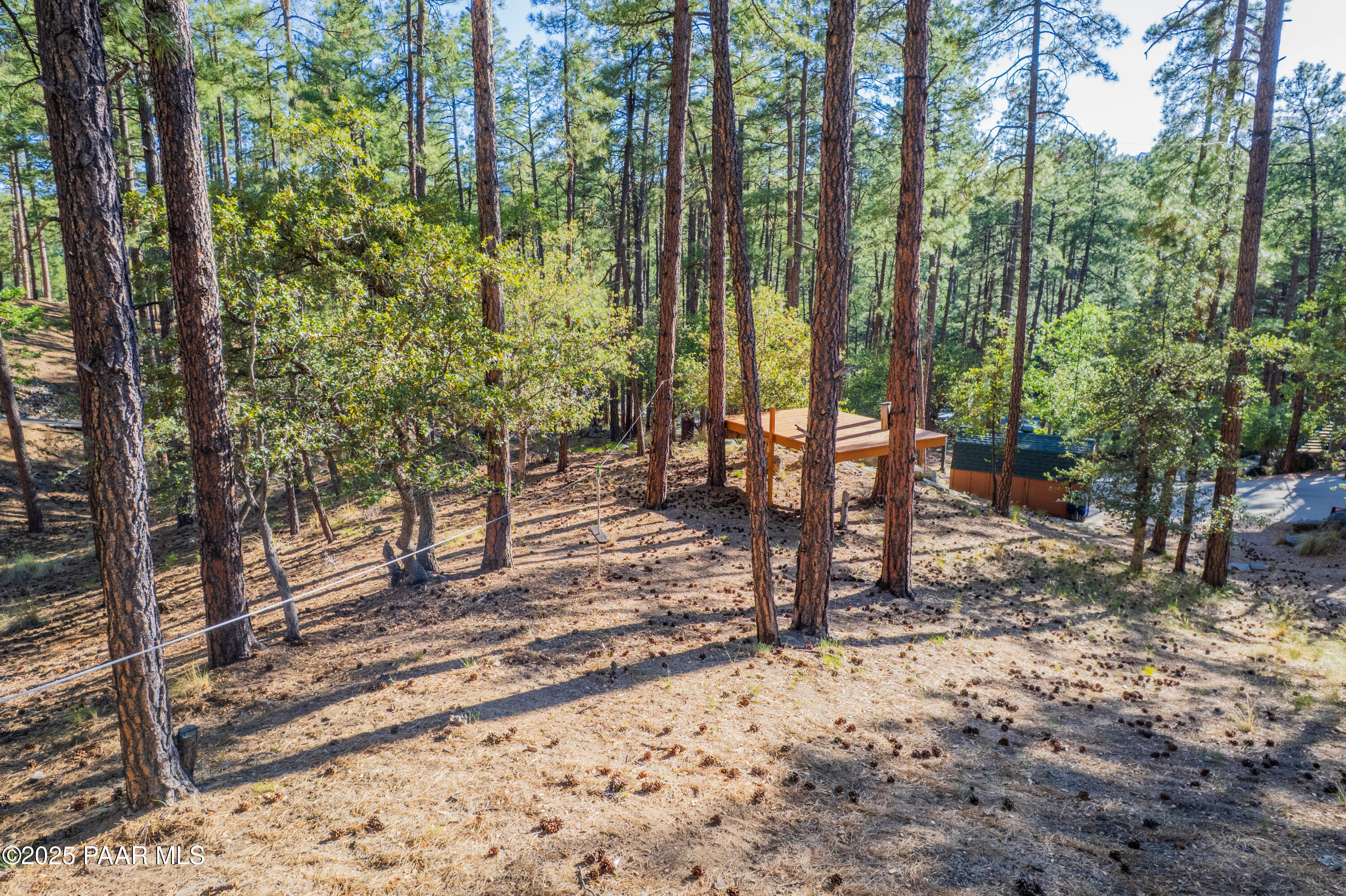 835 Happy Valley Road Prescott, AZ 86305 - Photo 50 of 61 a view of a forest with chairs