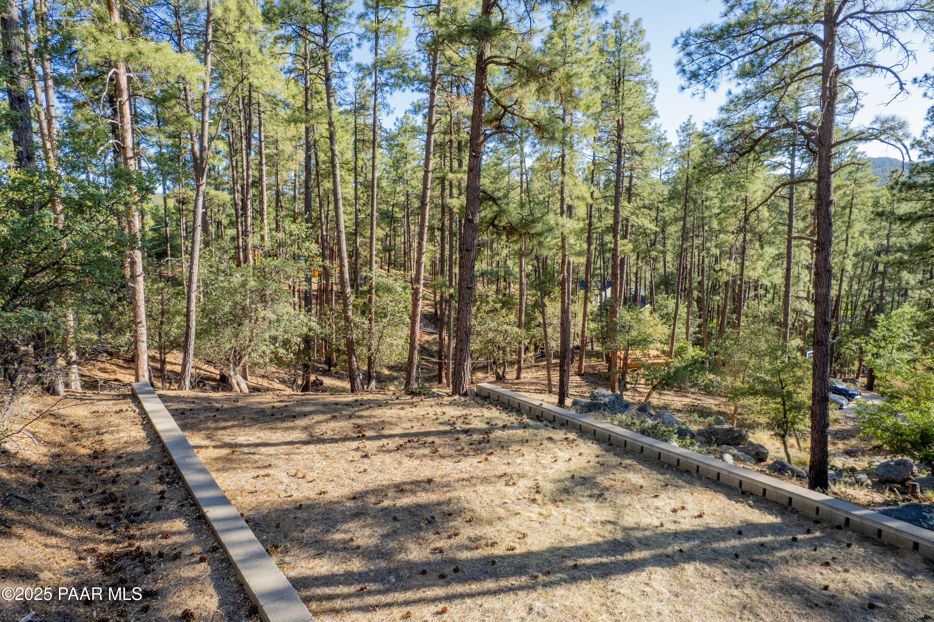 835 Happy Valley Road Prescott, AZ 86305 - Photo 53 of 61 a view of a backyard with trees