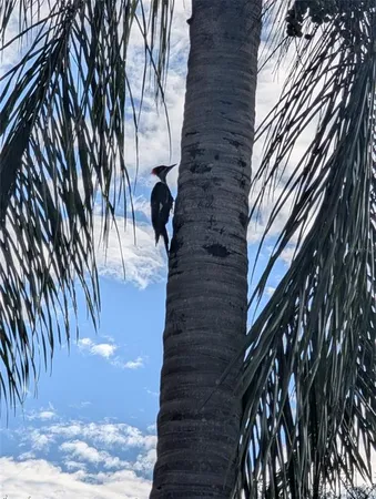 $820,000 | 40140 Swift Road, Eustis, FL 32736