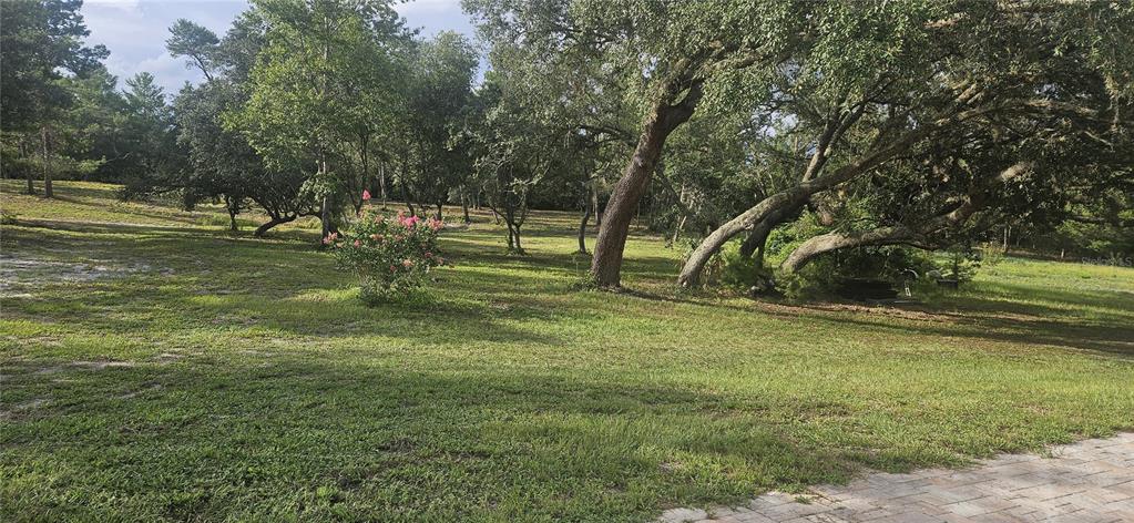 40140 Swift Road Eustis, FL 32736 - Photo 38 of 41