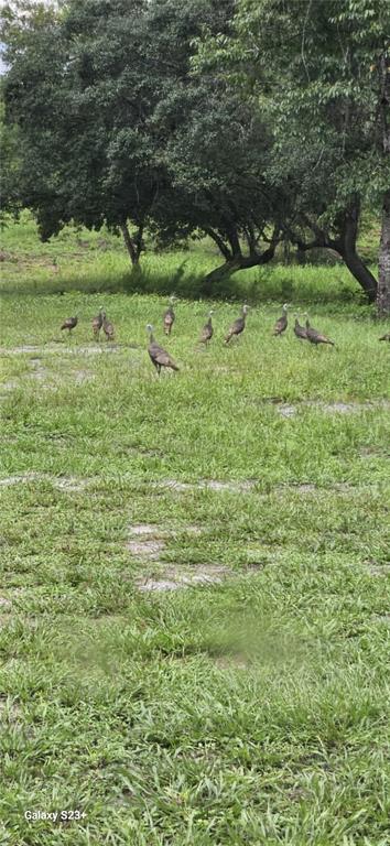 40140 Swift Road Eustis, FL 32736 - Photo 41 of 41