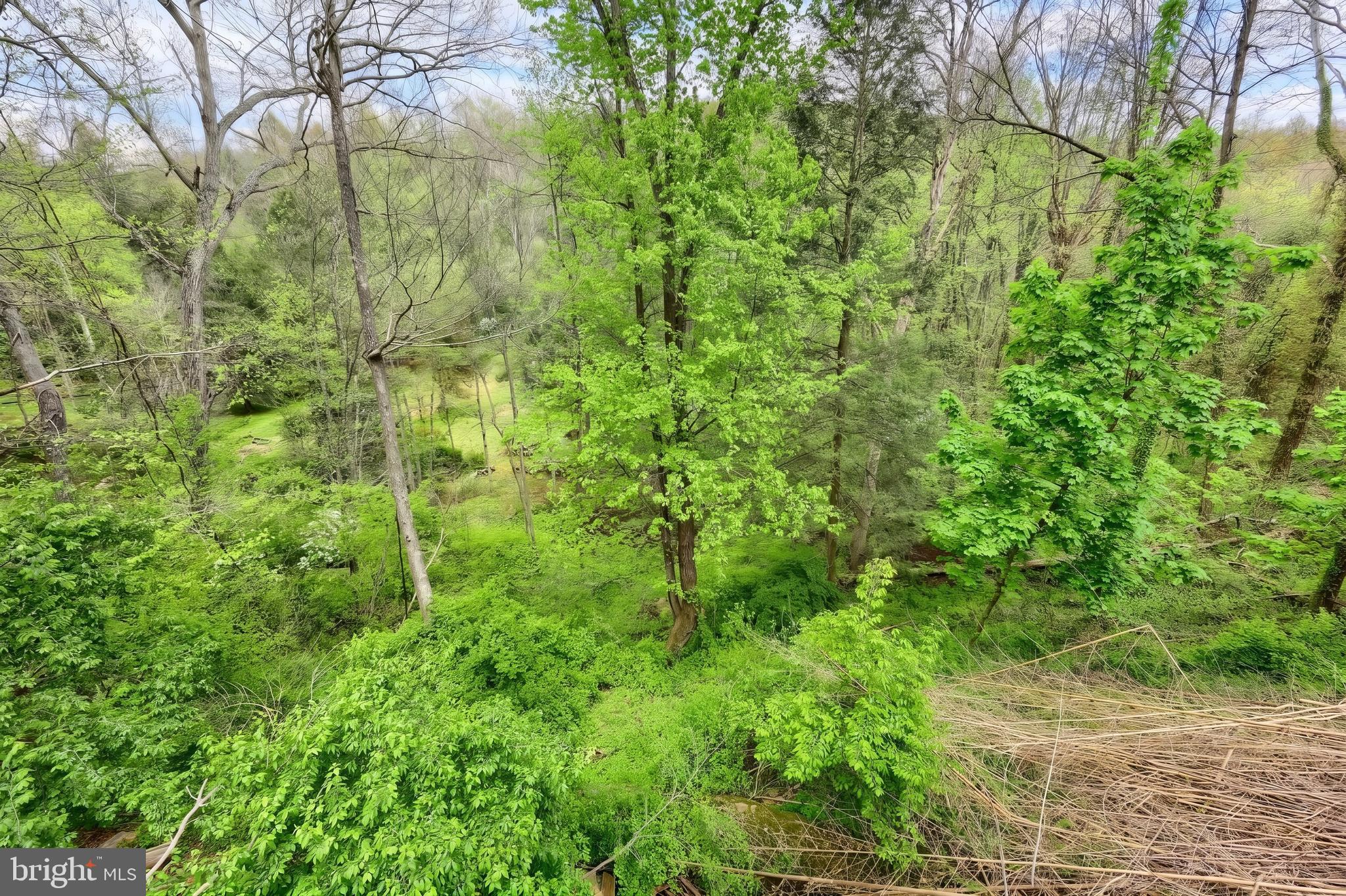 234 Hilltop Road Delta, PA 17314 - Photo 28 of 32 Beautiful Natural Environment
