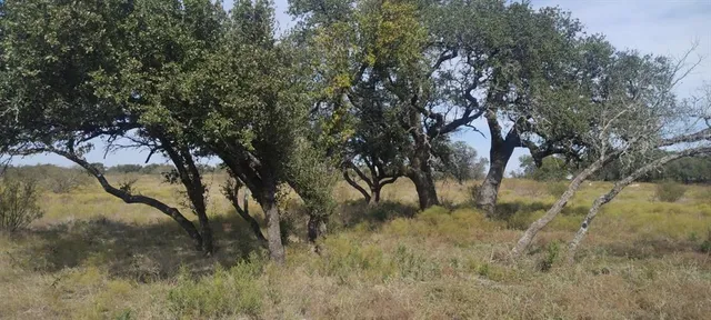 a view of ocean view with beach