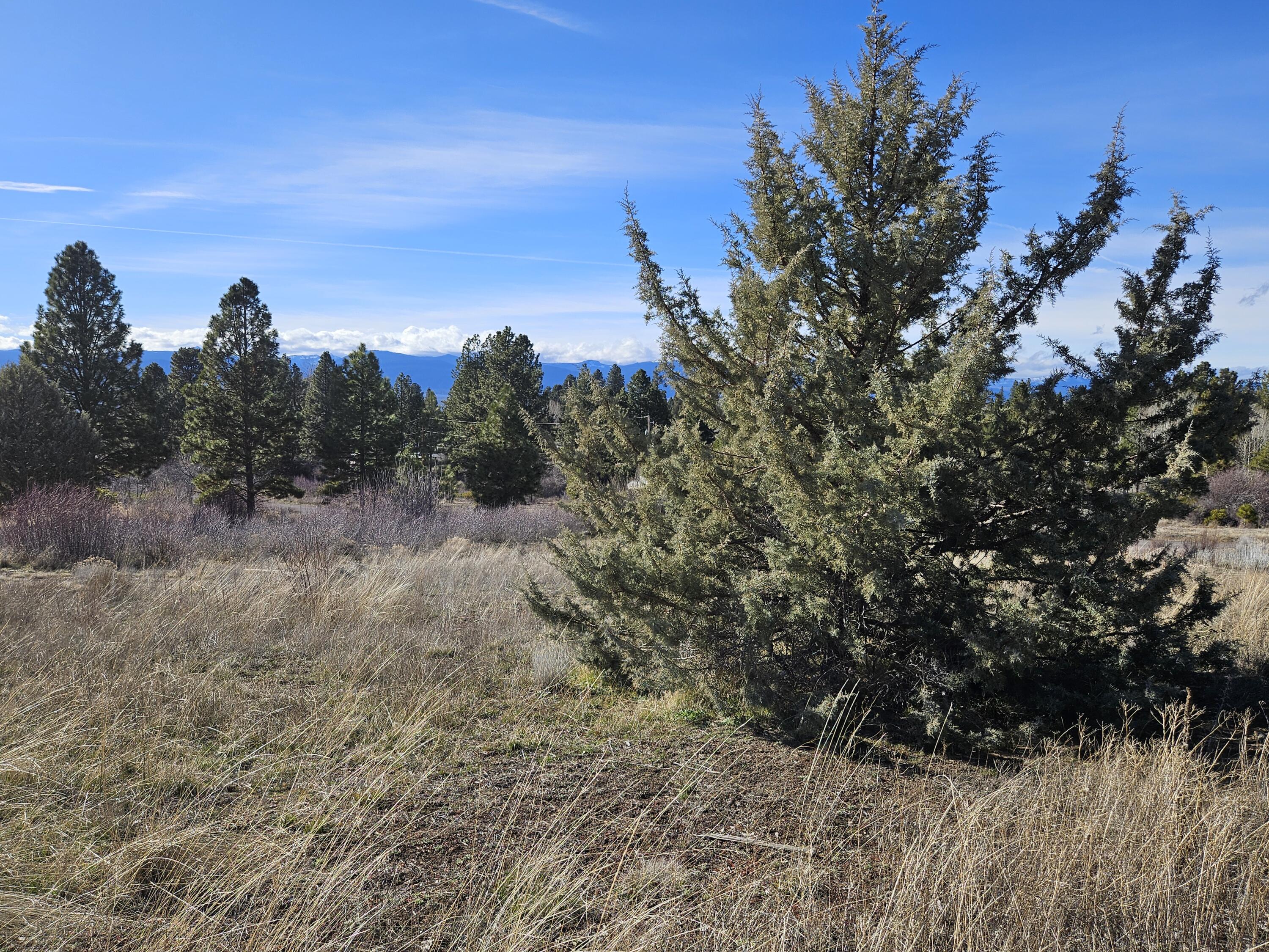 0 Shoreview Drive, Unit 21 Chiloquin, OR 97624 - Photo 4 of 10
