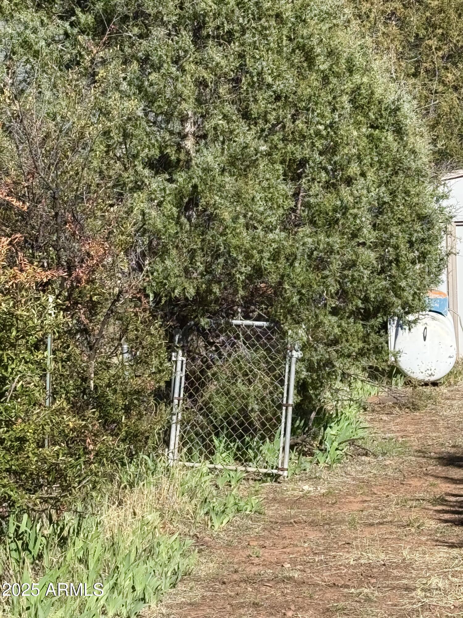 1241 Paint Pony Drive Payson, AZ 85541 - Photo 6 of 40 Walk thru gate to garage lot