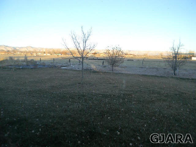 976 20 Road Fruita, CO 81521 - Photo 12 of 16 a view of a yard