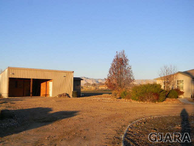976 20 Road Fruita, CO 81521 - Photo 7 of 16 a view of outdoor space with trees