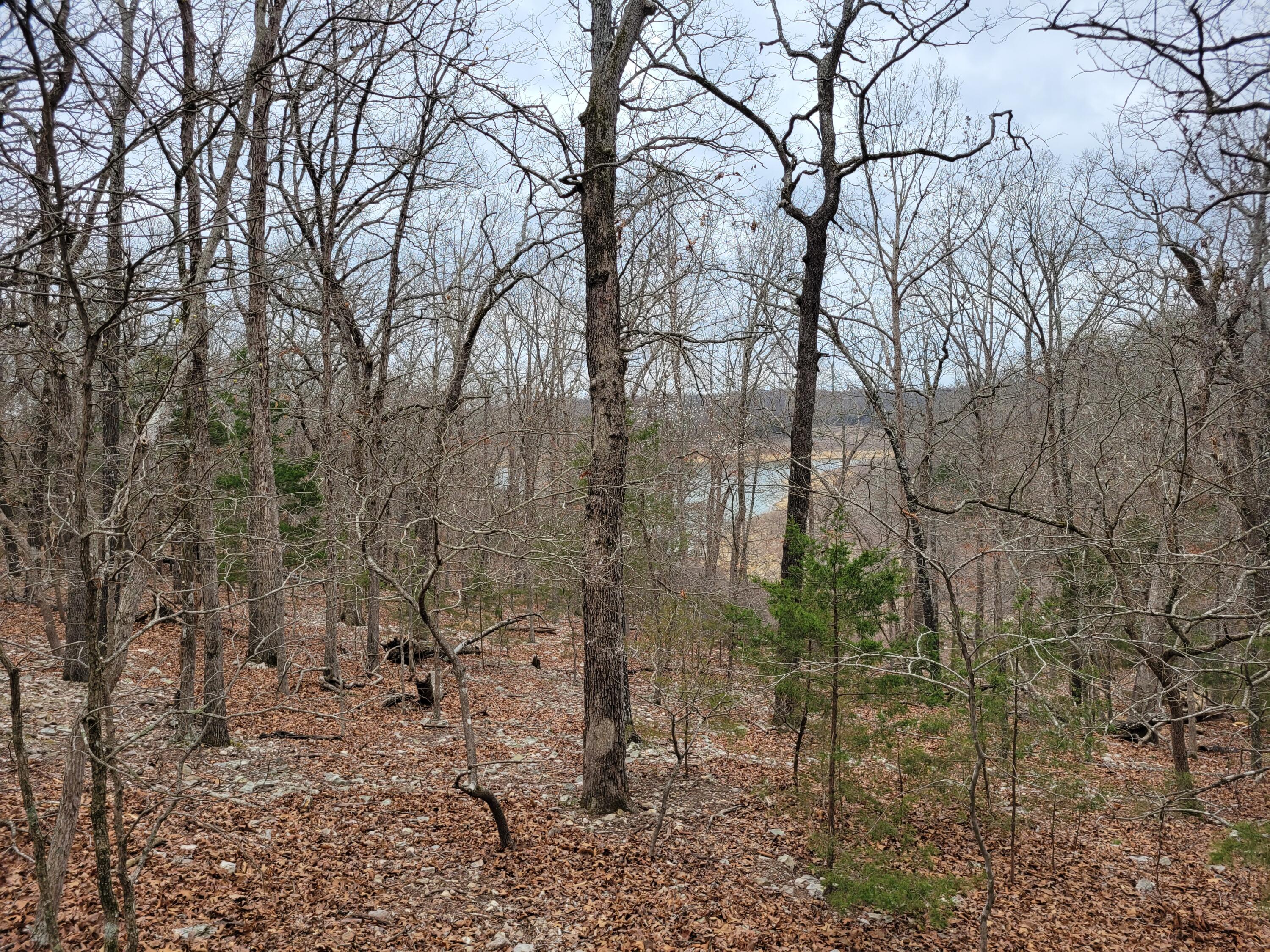 0 Lost Mine Road Theodosia, MO 65761 - Photo 1 of 11 20260315_101835