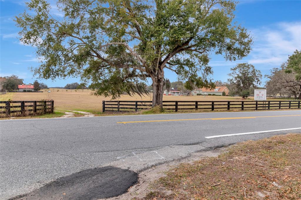 Wolf Branch Road Sorrento, FL 32776 - Photo 4 of 33 a view of a road with a yard