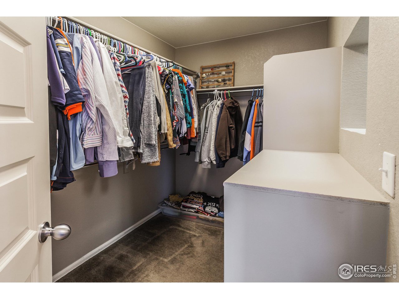 8594 Raspberry Drive Frederick, CO 80504 - Photo 28 of 40 a view of walk in closet with clothes