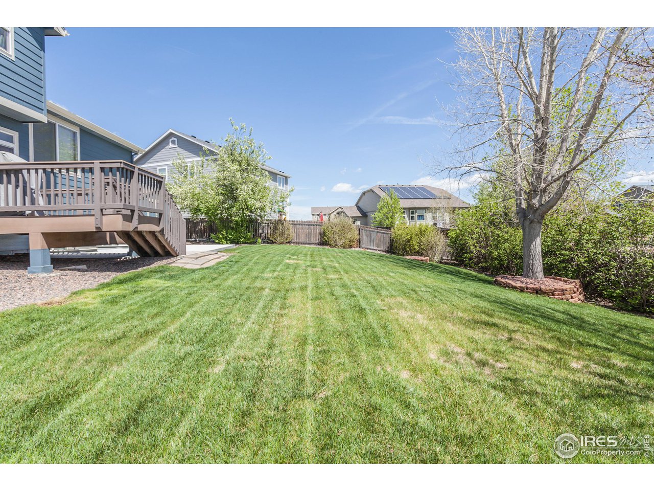 8594 Raspberry Drive Frederick, CO 80504 - Photo 35 of 40 a view of a yard in front of house