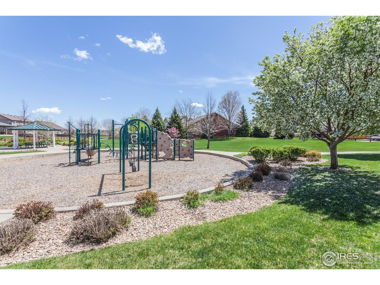 8594 Raspberry Drive Frederick, CO 80504 - Photo 40 of 40 a view of a park