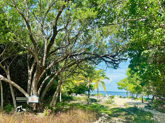 $2,500 | 88500 Overseas Highway, Unit 419, Islamorada, FL 33036