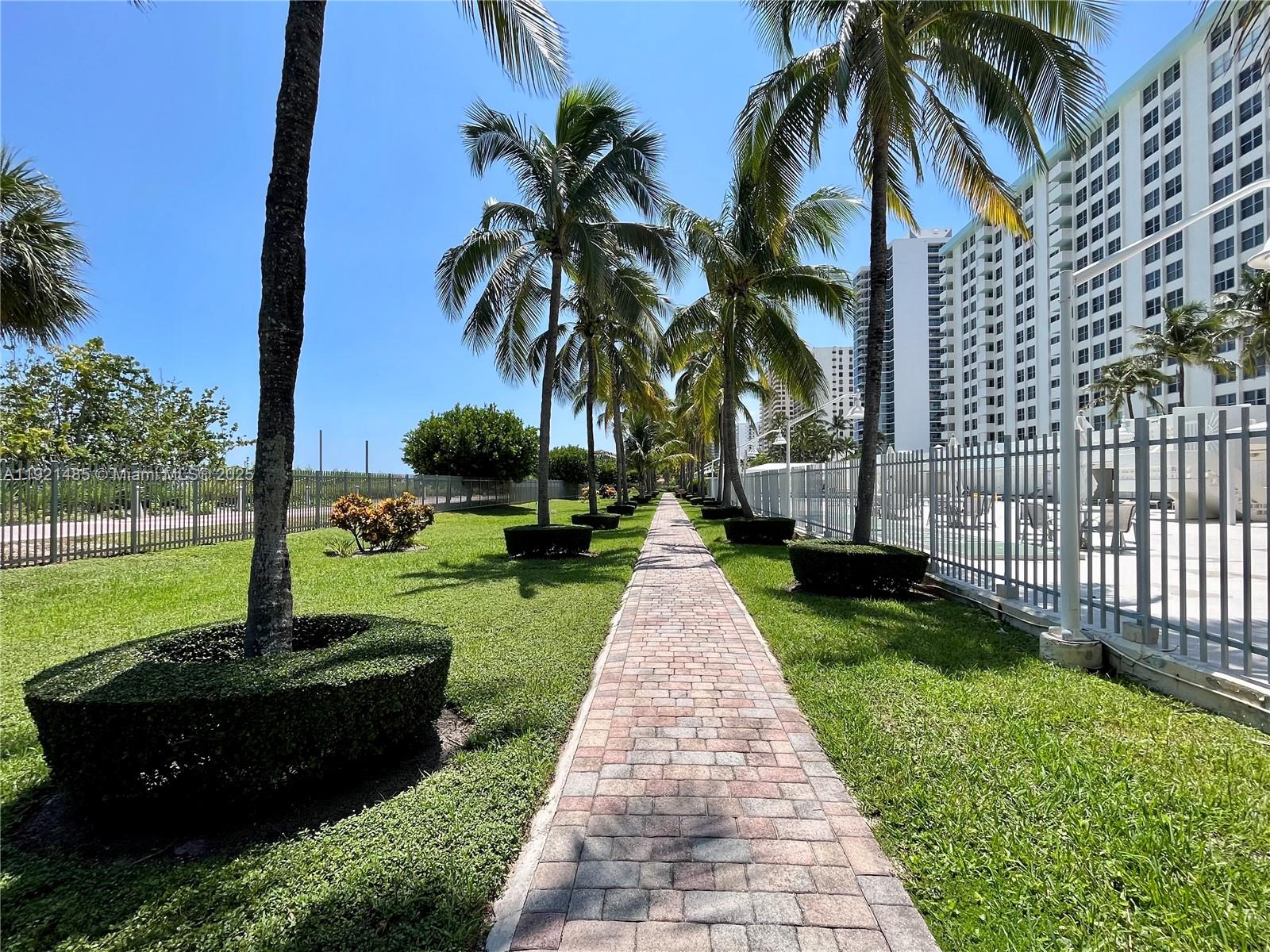 2899 Collins Avenue, Unit 915 Miami Beach, FL 33140 - Photo 14 of 31 a view of a backyard with potted plants