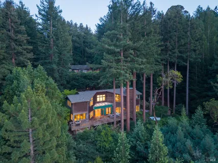 an aerial view of a house with a big yard and large trees