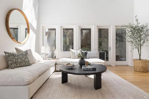 a living room with furniture and a potted plant