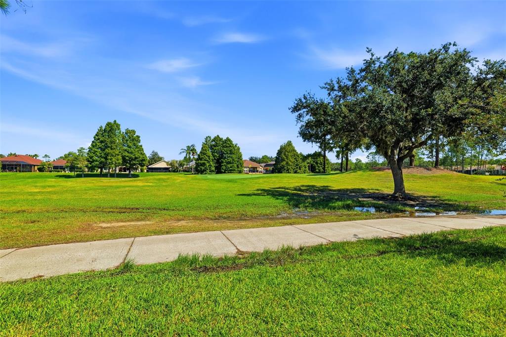 23821 Coral Ridge Lane Land O' Lakes, FL 34639 - Photo 36 of 41 Gallery Image 36