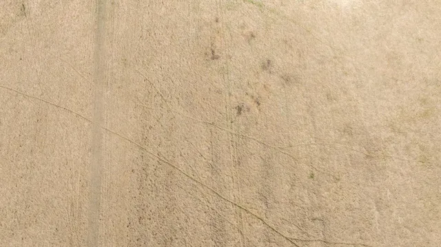 $65,000 | Tbd Tbd 302nd Street, Starbuck, MN 56381