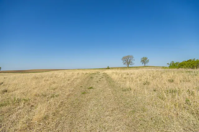 $65,000 | Tbd Tbd 302nd Street, Starbuck, MN 56381