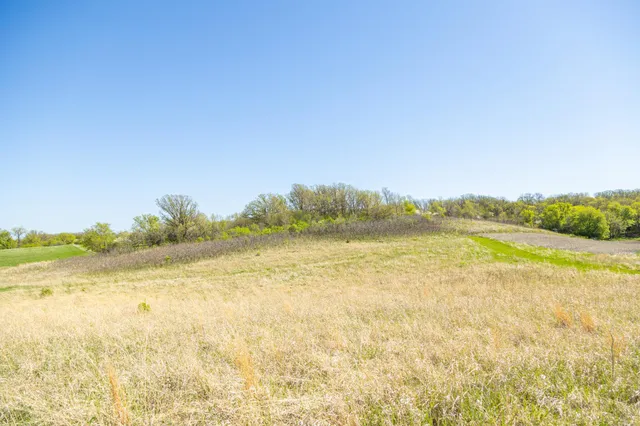 $65,000 | Tbd Tbd 302nd Street, Starbuck, MN 56381