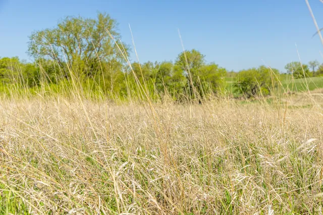 $65,000 | Tbd Tbd 302nd Street, Starbuck, MN 56381