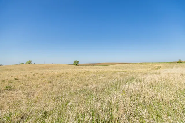 $65,000 | Tbd Tbd 302nd Street, Starbuck, MN 56381