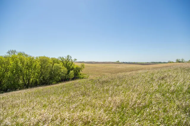 $65,000 | Tbd Tbd 302nd Street, Starbuck, MN 56381