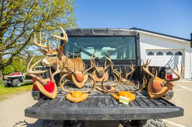 $65,000 | Tbd Tbd 302nd Street, Starbuck, MN 56381