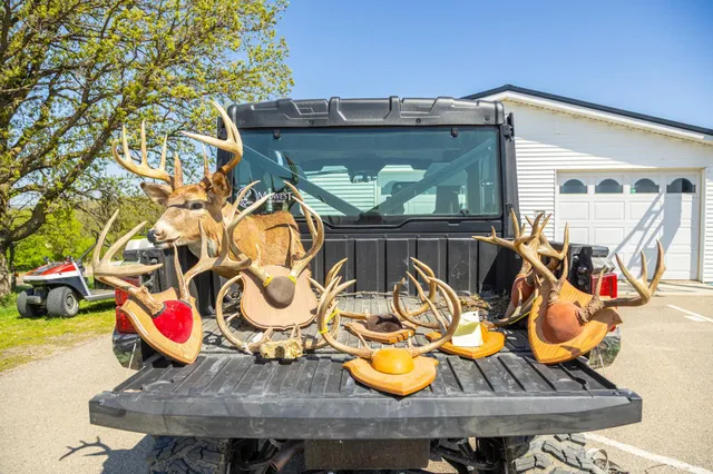 $65,000 | Tbd Tbd 302nd Street, Starbuck, MN 56381