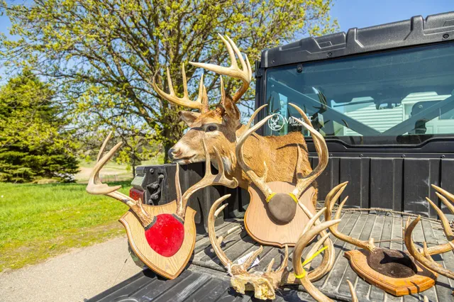 $65,000 | Tbd Tbd 302nd Street, Starbuck, MN 56381