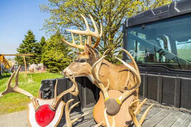 $65,000 | Tbd Tbd 302nd Street, Starbuck, MN 56381