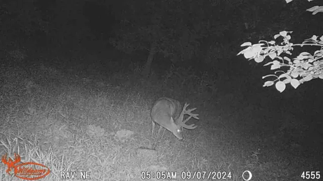 $65,000 | Tbd Tbd 302nd Street, Starbuck, MN 56381