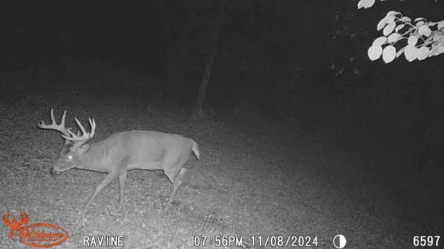 $65,000 | Tbd Tbd 302nd Street, Starbuck, MN 56381