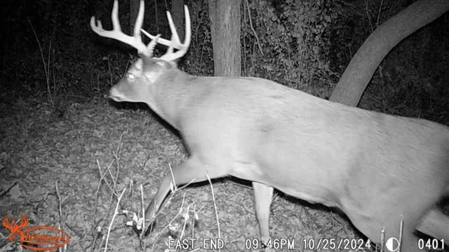 $65,000 | Tbd Tbd 302nd Street, Starbuck, MN 56381