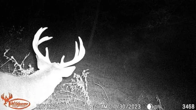 $65,000 | Tbd Tbd 302nd Street, Starbuck, MN 56381