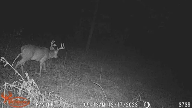 $65,000 | Tbd Tbd 302nd Street, Starbuck, MN 56381