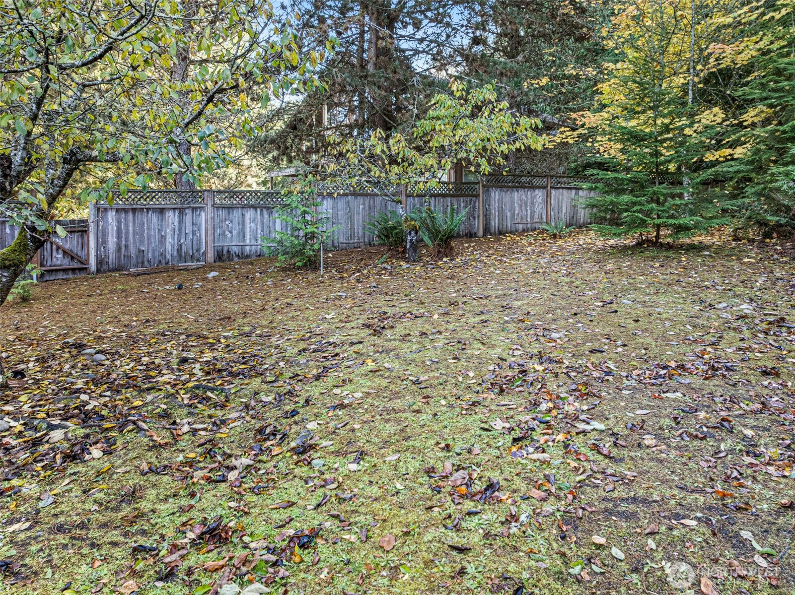 693 State Rte 20 Port Townsend, WA 98368 - Photo 25 of 31 Gallery Image 25