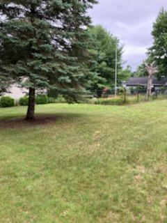 6620 Potter Road Bear Lake, MI 49614 - Photo 14 of 18 m pinetree